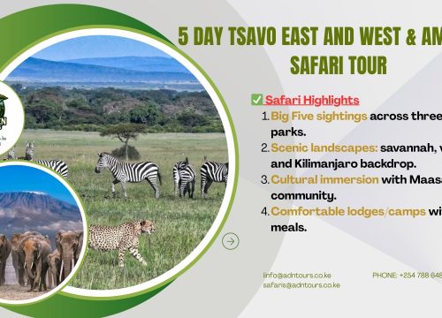 5 DAYS, 4 NIGHTS TSAVO EAST & WEST & AMBOSELI PARKS