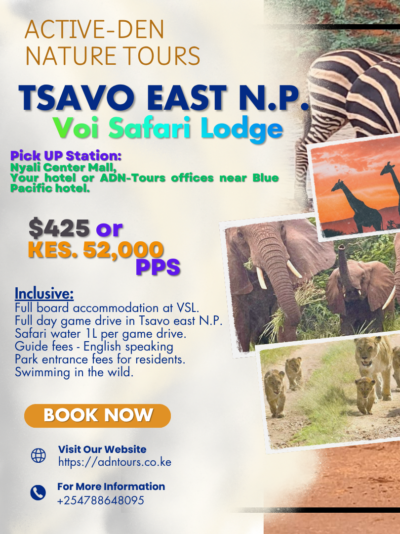 Voi Safari Lodge Day Tour