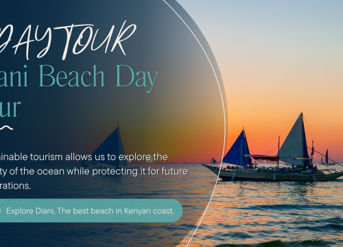 DAY TOUR TO DIANI FROM MOMBASA