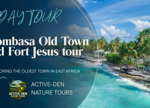 MOMBASA OLD TOWN AND FORT JESUS