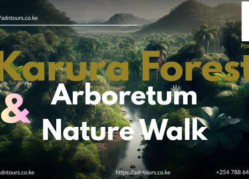 KARURA FOREST AND ARBORETUM DAY TOUR