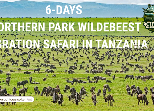 6 DAYS NORTHERN PARK WILDBEEST MIGRATIONS SAFARI IN TANZANIA