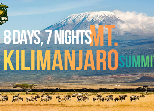 8 DAYS MT KILIMANJARO SUMMIT